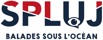 Spluj, balades sous l'océan
