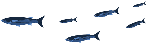 poissons